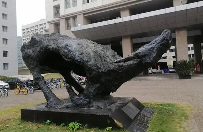 T~ğo(w)ĺζ(li)